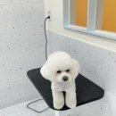 올치유치원 이미지