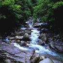 지리산운봉흙돼지 이미지