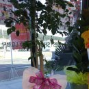 대정농협주유소 이미지