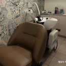 할리스커피강남대로논현 | 강남 헤드스파 모클락 강남본점 후기 강남 두피관리 탈모관리 상담 받아본 솔직 후기