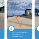 썬플라워 이미지