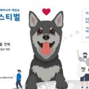펫페스티벌