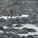 선인명과
