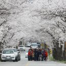 함양남서로 이미지