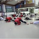 한국체대 영우태권도 이미지