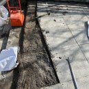 태성고등학교 이미지