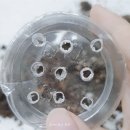 플라스틱가드너 이미지