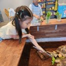 크레이쥬 이미지