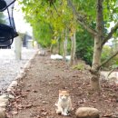 문경또또캠핑장 이미지