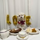 까까묵자 이미지