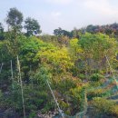 그린농장2 이미지