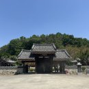 합천군산림조합 | 고령 여행 코스로 추천하는 합천 카페 자리｜한옥 감성 가득한 신상카페 후기