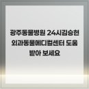 24시김승현외과동물메디컬센터 | 광주동물병원 24시김승현외과동물메디컬센터 도움 받아 보세요