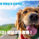 에이프릴펫 이미지