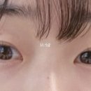 브로우올리 이미지