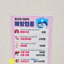 연세더바로병원 | 내 생애 첫 대상포진 예방접종