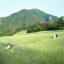 이야기민박 이미지