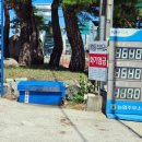 강릉농협주유소 이미지