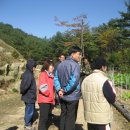 하늘내린터님 농장 더덕씨앗 채취번개..(사진이 늦어서 죄송합니다.) 이미지