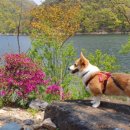 옥천군동이면석탄보건진료소 이미지