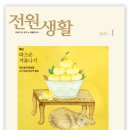 명소 돼지국밥 이미지