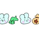 제이복싱 이미지