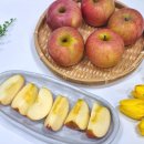 아침 사과 습관 만들기, 들판열매 사과 구독으로 시작한 건강 간식