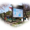 해파랑길 7코스 이미지