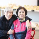 영락제과 이미지