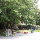 둥지별곡 이미지