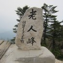 진고개화장실 이미지