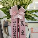 너에개 반하개 이미지