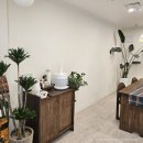 성남대로 | 미금 속눈썹펌 올단뷰티 솔직 후기