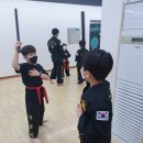 국술원도장 이미지