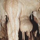 원 영월군 고씨굴 탐험의 묘미를 느낄 수 있는 미로형 동굴 이미지