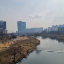 청학하늘정원 이미지