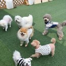 하루산책 | 30살 퇴사 후 공무원 준비 시작합니다 | 공부하기 너무 싫은 날
