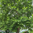 유목정쉼터 이미지