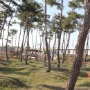 신풍초등학교 이미지