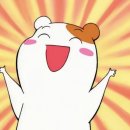 콘코니