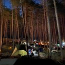 호명산잣나무숲캠핑장 이미지