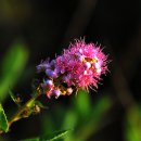 고수부지 이미지