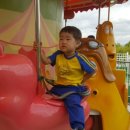 충주라바랜드 이미지