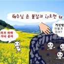 참사랑 한의원 이미지