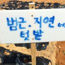 범근농장 Daum카페