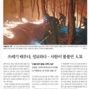 삼거리부동산공인중개사사무소 이미지
