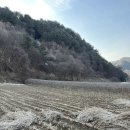 북방공인중개사사무소 네이버블로그