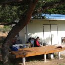 미송농장 이미지