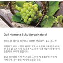 구지농장 | [원두] 로스터리 향초 - 에티오피아 구지 함벨라 부쿠 사이사 내추럴 외 1종