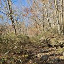 조개골 만추산행 이미지